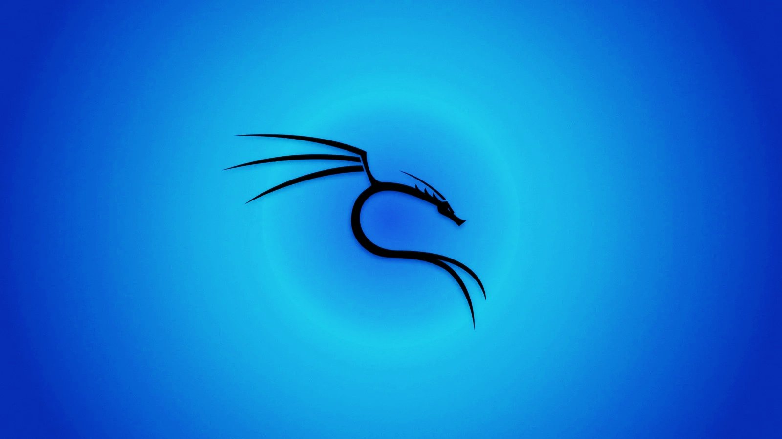 kali-linux-2024.4-released-with-14-new-tools,-deprecates-some-features