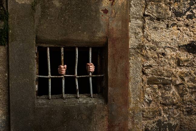 silk-road’s-dread-pirate-roberts-walks-free-as-trump-pardons-dark-web-kingpin