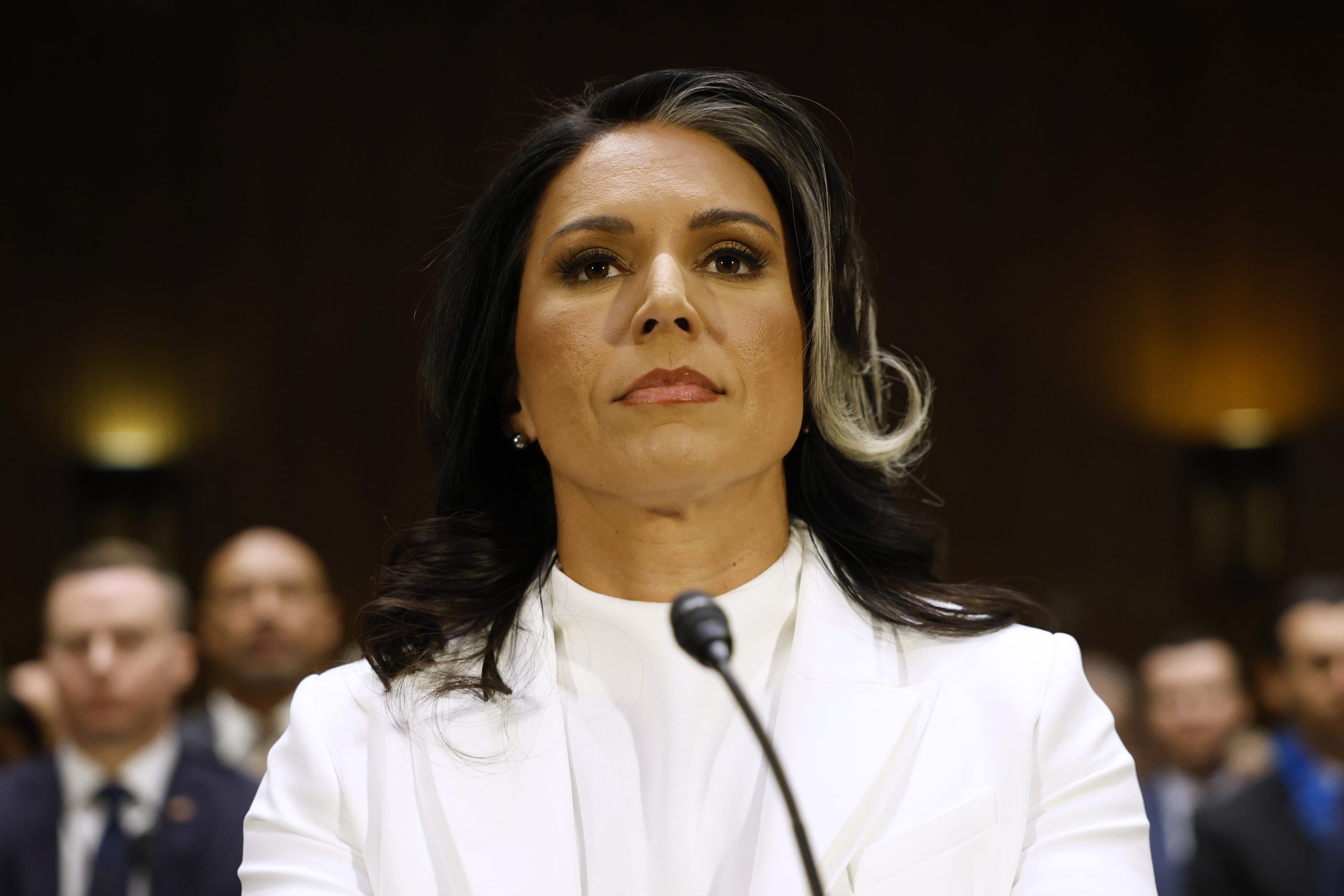 tulsi-gabbard-tussles-with-senators-over-snowden,-surveillance 