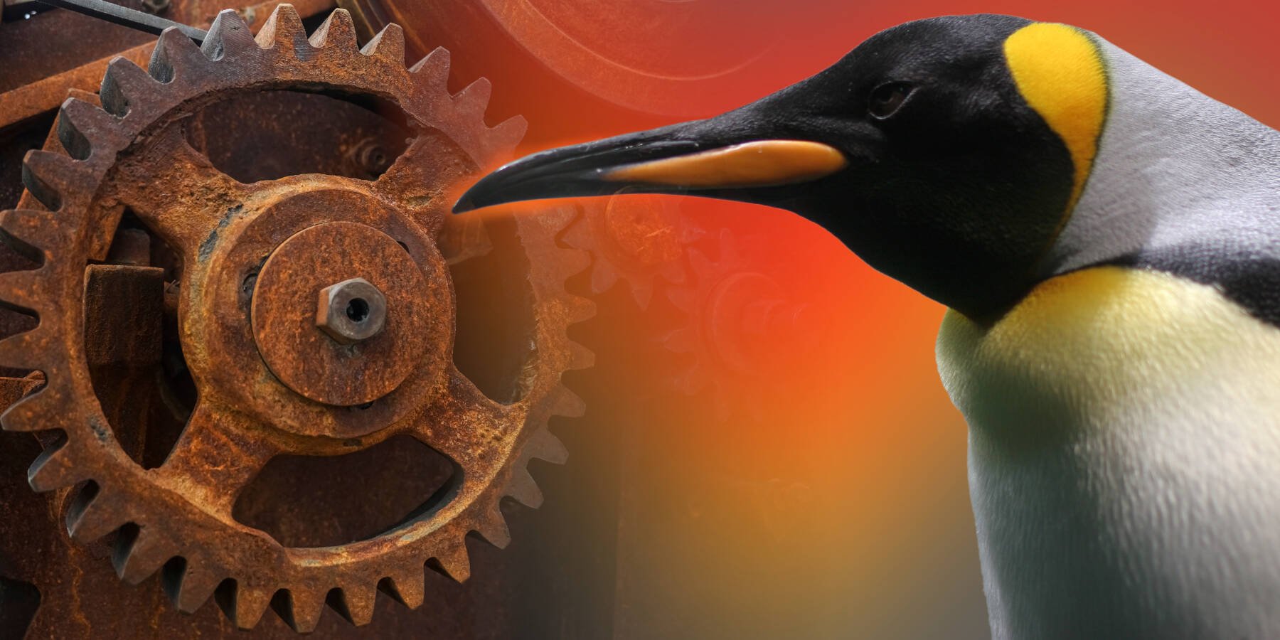 ‘key-kernel-maintainers’-still-back-rust-in-the-linux-kernel,-despite-the-doubters