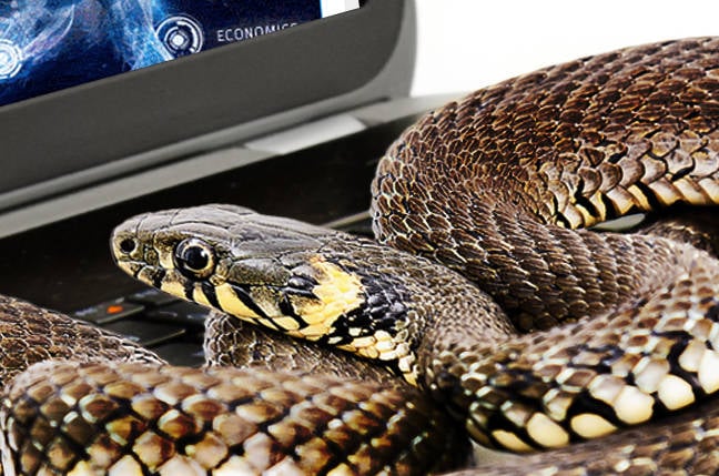 snake-keylogger-slithers-into-windows,-evades-detection-with-autoit-compiled-payload