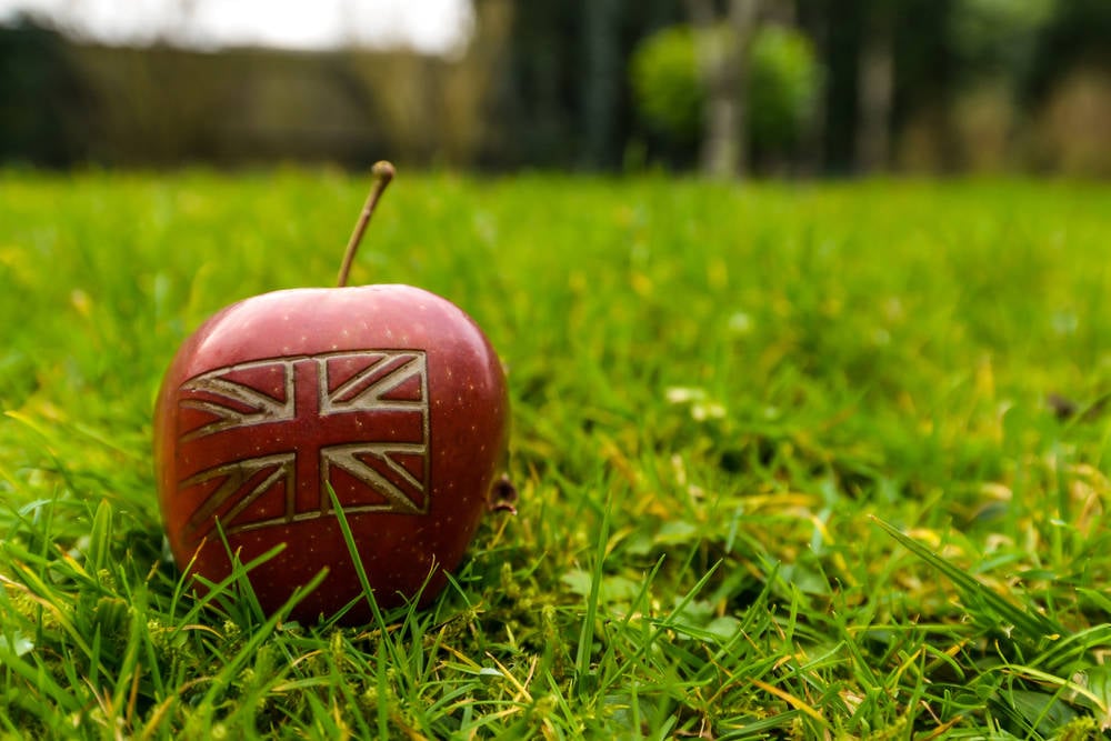 rather-than-add-a-backdoor,-apple-decides-to-kill-icloud-e2ee-for-uk-peeps