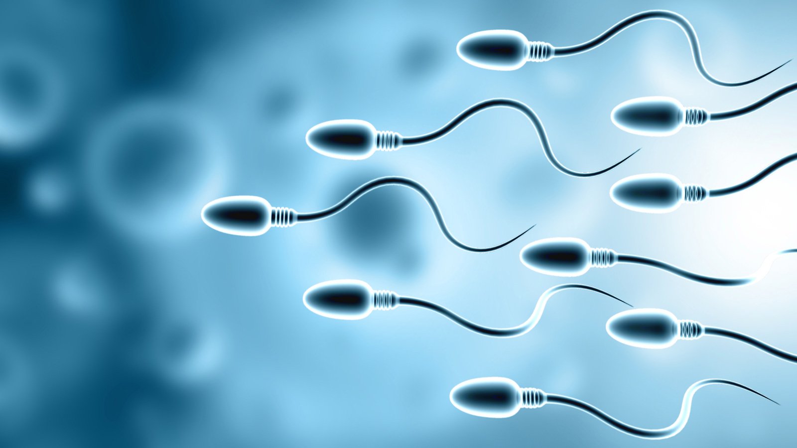 sperm-donation-giant-california-cryobank-warns-of-a-data-breach