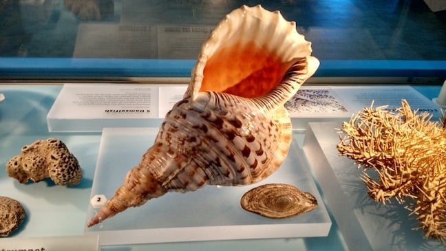 ghost-in-the-shell-script:-boffins-reckon-they-can-catch-bugs-before-programs-run