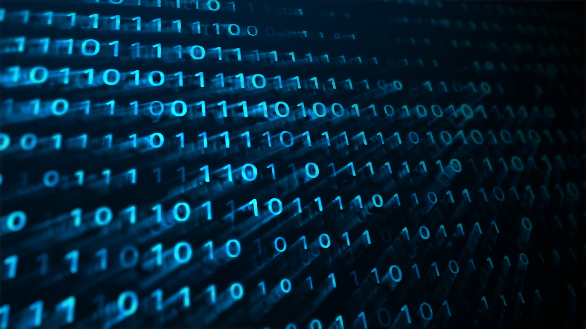 dems-want-watchdog-study-of-two-troubled-federally-funded-vulnerability-tracking-initiatives