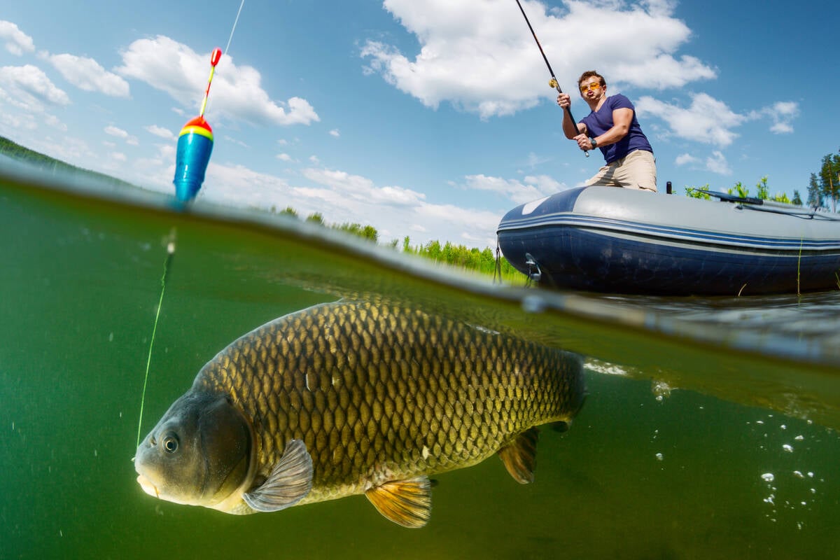 not-pretty,-not-windows-only:-npm-phishing-attack-laces-popular-packages-with-malware