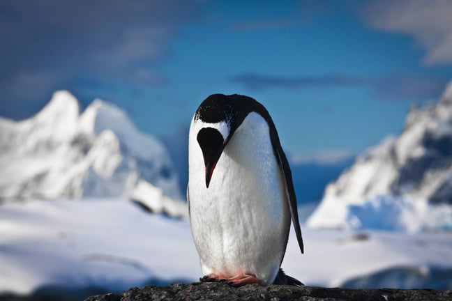 antivirus-vendors-fail-to-spot-persistent,-nasty,-stealthy-linux-backdoor