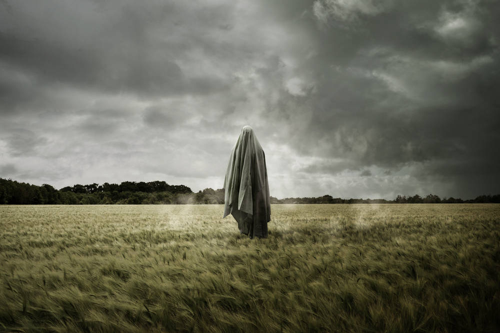 spectre-haunts-cpus-again:-vmscape-vulnerability-leaks-cloud-secrets