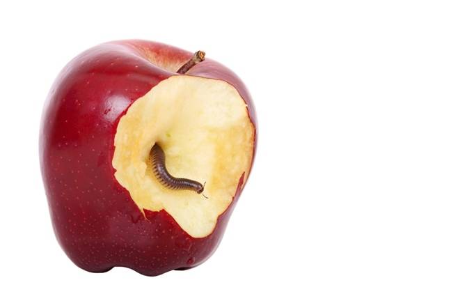 microsoft-spots-fresh-xcsset-malware-strain-hiding-in-apple-dev-projects