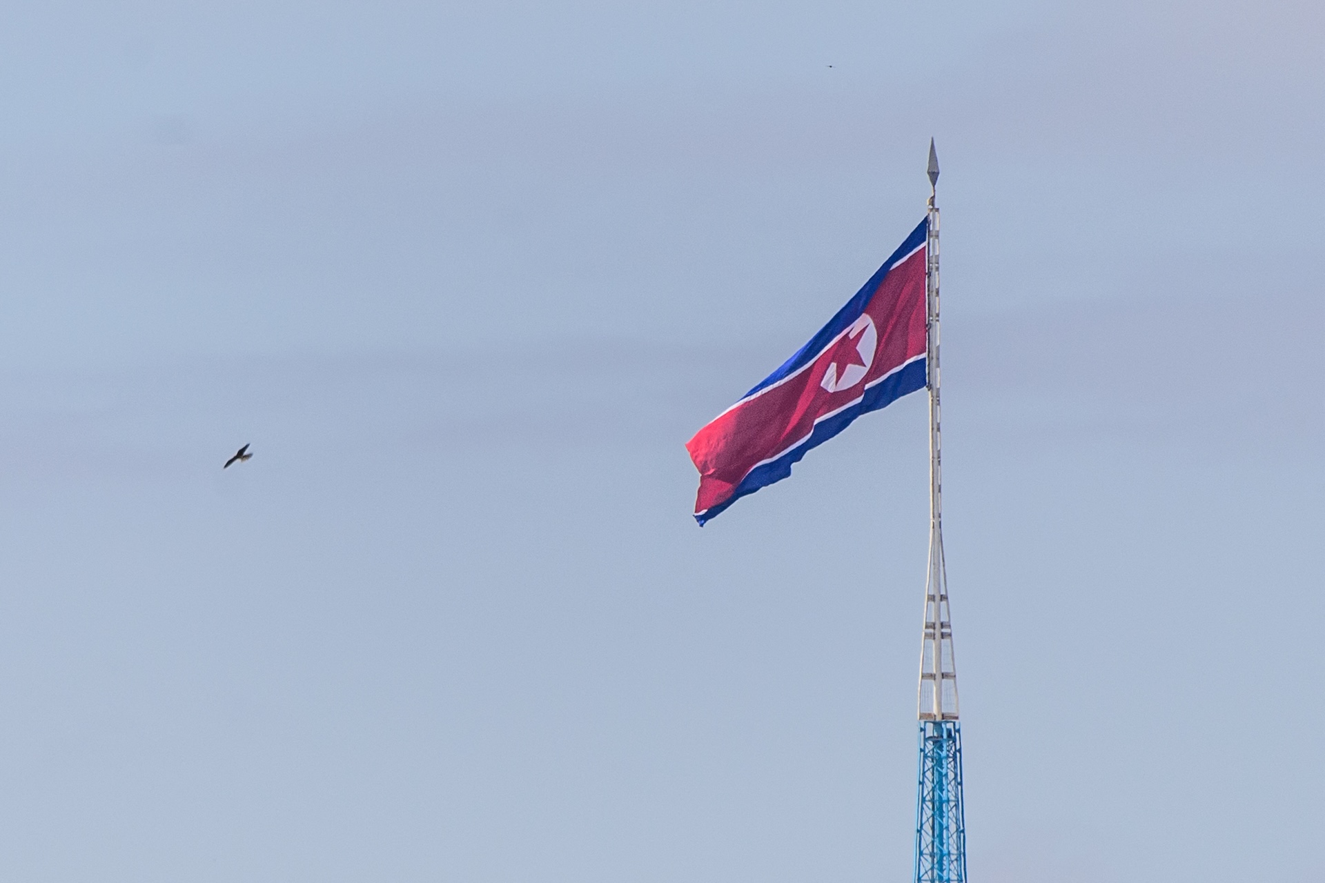 north-korean-operatives-spotted-using-evasive-techniques-to-steal-data-and-cryptocurrency