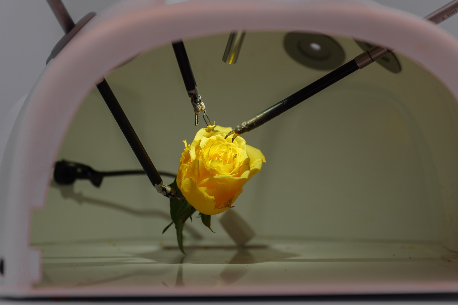 house-gop-leaders-seek-government-probe,-restrictions-on-chinese-made-tech