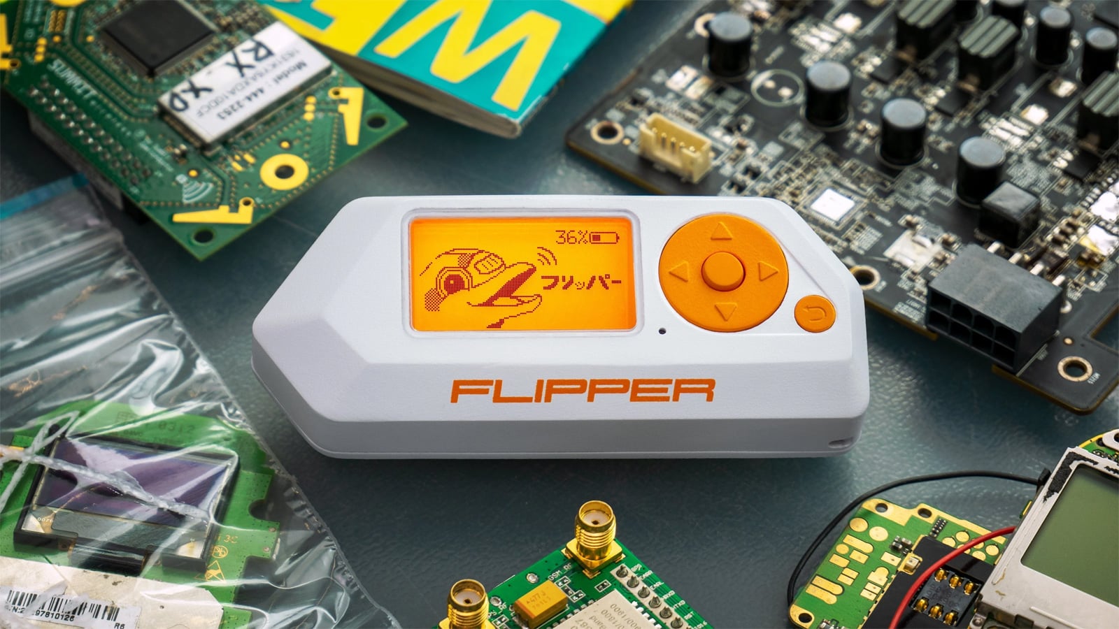 nyc-mayoral-inauguration-bans-flipper-zero,-raspberry-pi-devices