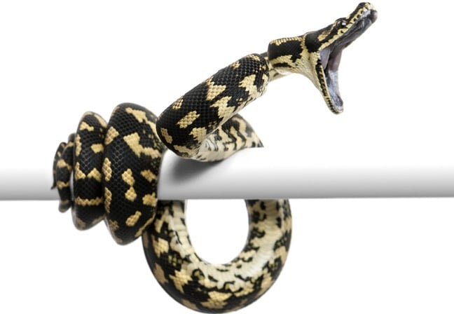 popular-python-libraries-used-in-hugging-face-models-subject-to-poisoned-metadata-attack