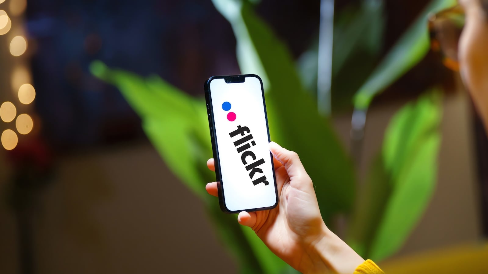 flickr-discloses-potential-data-breach-exposing-users’-names,-emails