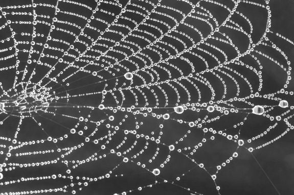 google-unleashes-gemini-ai-agents-on-the-dark-web google-unleashes-gemini-ai-agents-on-the-dark-web