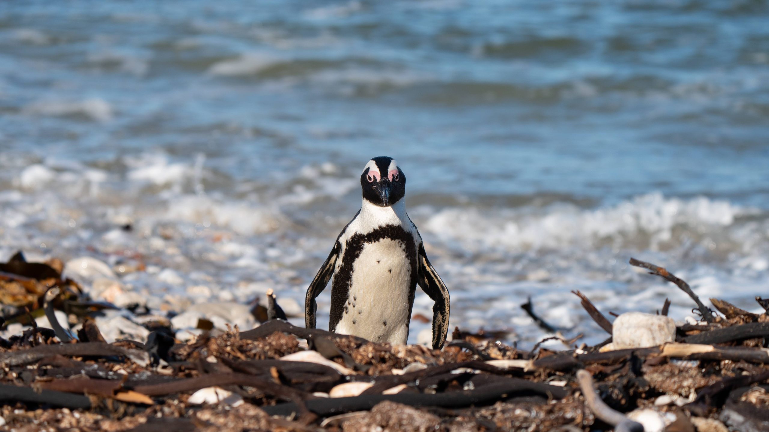 more-ancient-linux-device-support-faces-the-chop