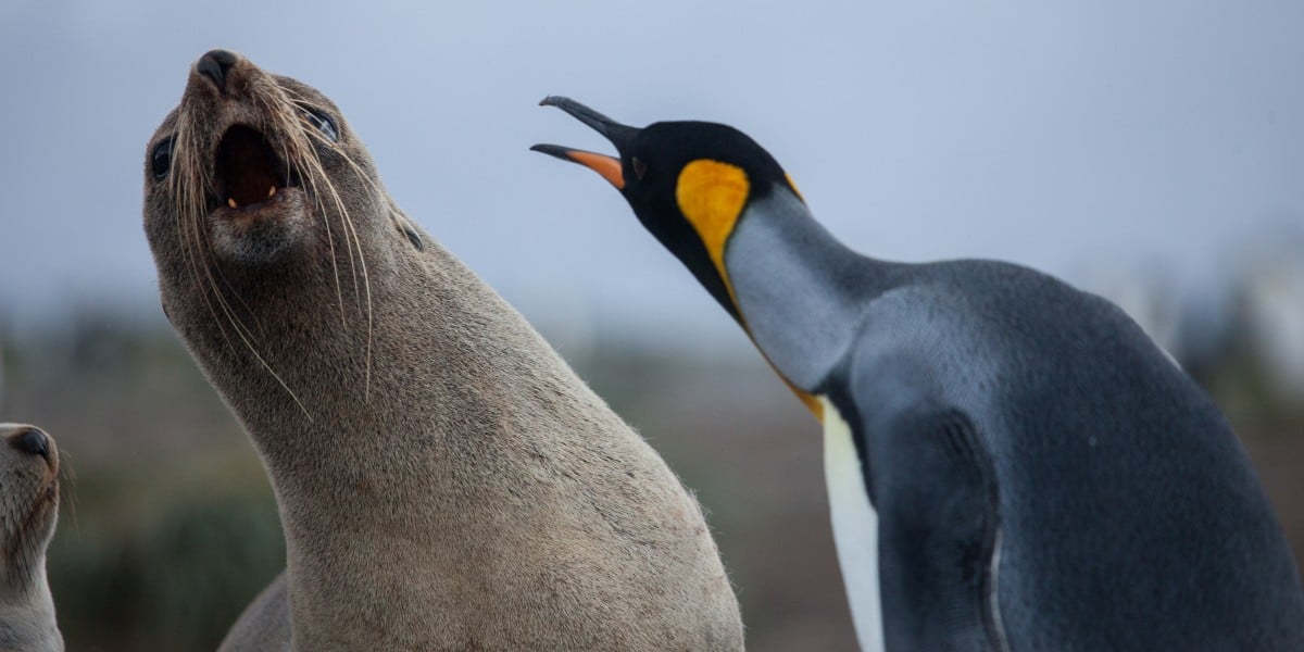 linux-cryptographic-code-flaw-offers-fast-route-to-root