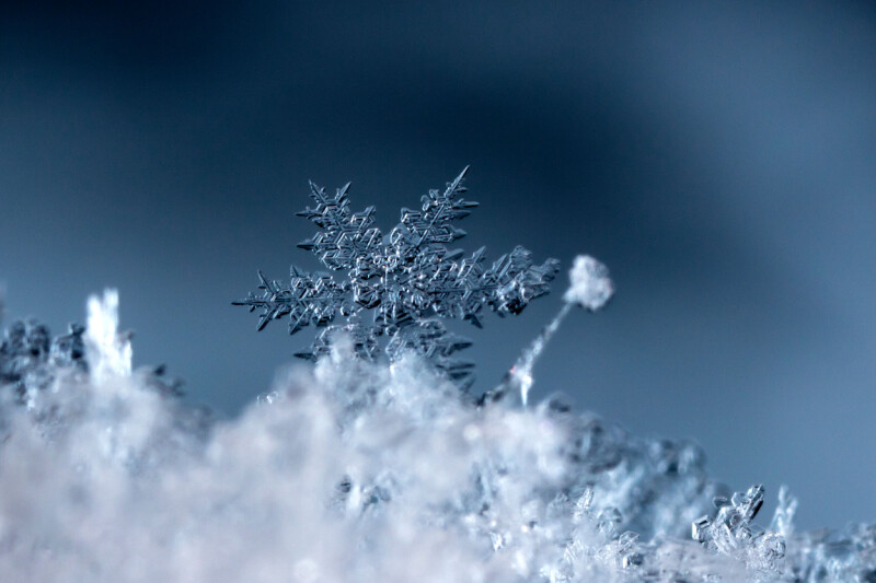 snowflake-buys-natoma-to-help-freeze-out-rogue-agents