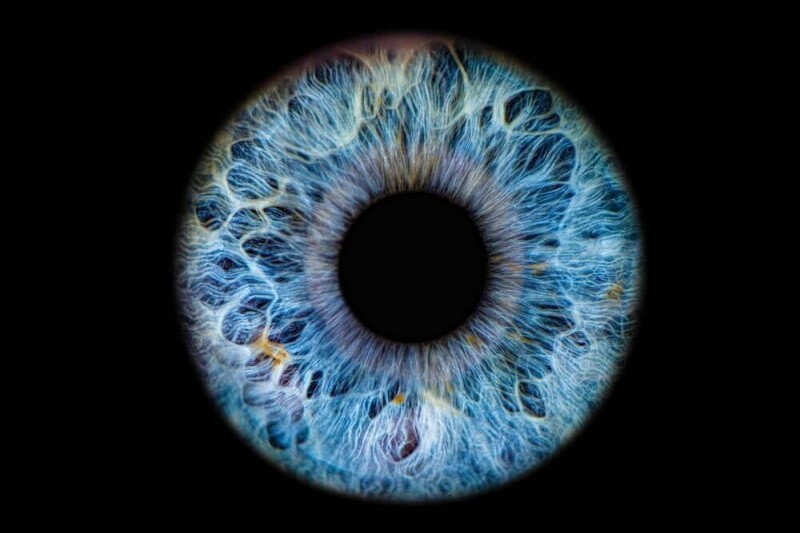 ice-to-keep-an-eye-on-your-eyes-under-$25m-biometric-scanner-deal ice-to-keep-an-eye-on-your-eyes-under-$25m-biometric-scanner-deal