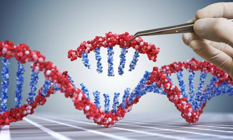 23andme-inherits-lawsuit-over-‘disturbing’-dna-data-breach