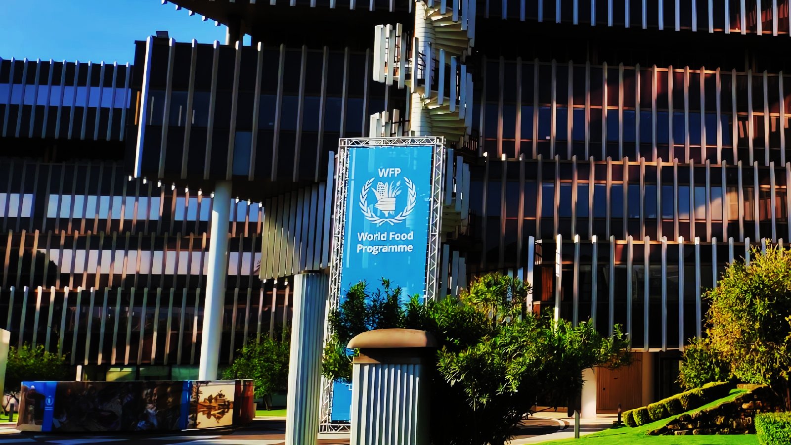 un-food-agency-discloses-breach-affecting-600,000-gaza-households un-food-agency-discloses-breach-affecting-600,000-gaza-households