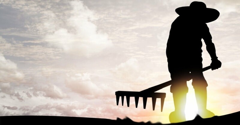 cyberattack-sees-crops-kept-in-the-ground
