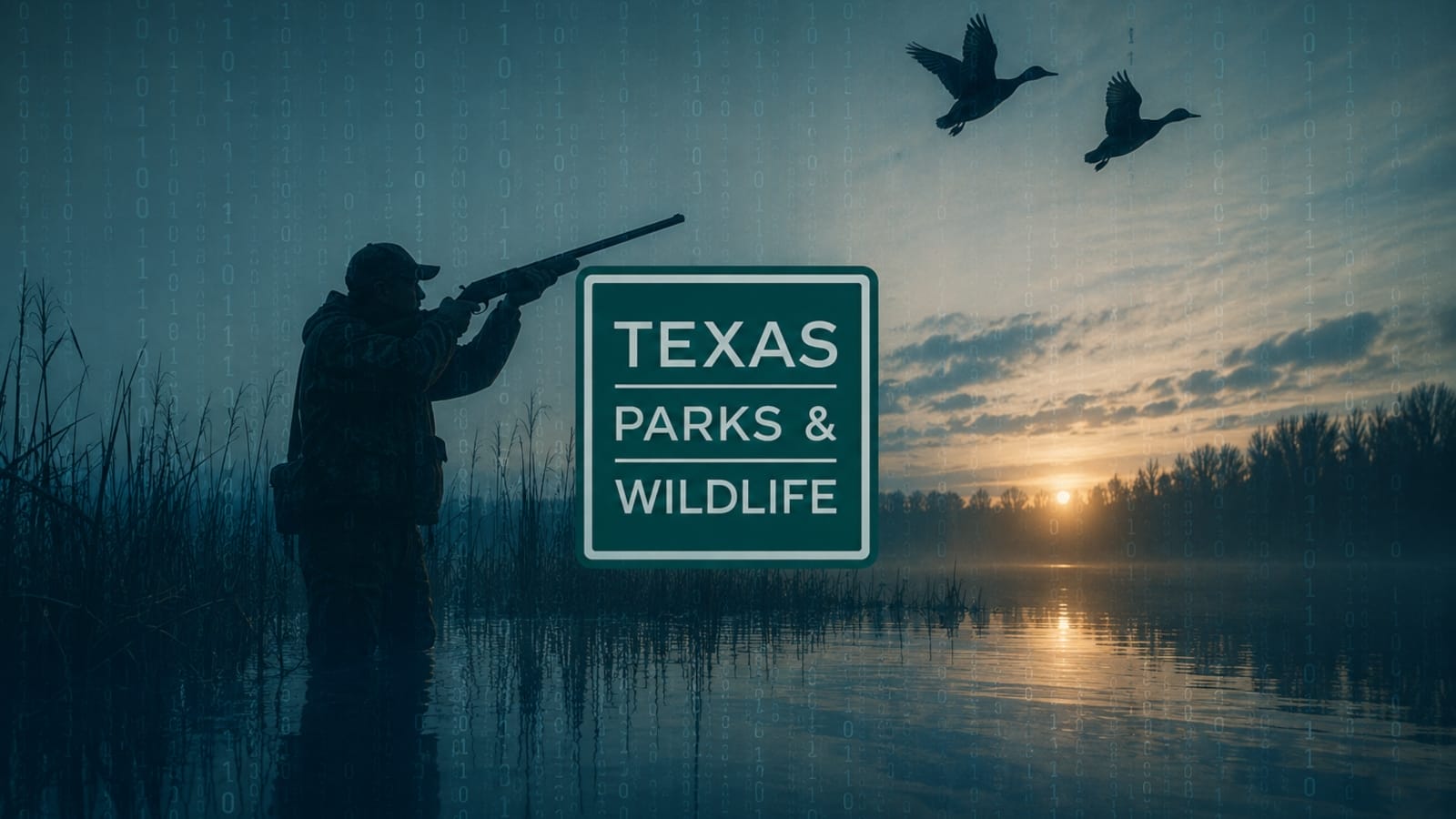 texas-govt-data-breach-exposes-over-3-million-driver’s-licenses