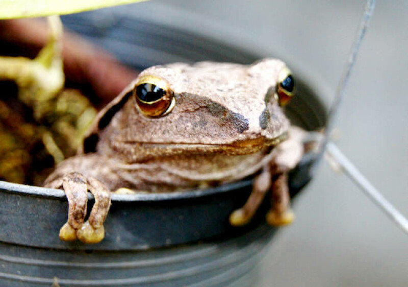 jfrog’s-0-days-let-openai’s-models-hack-hugging-face jfrog’s-0-days-let-openai’s-models-hack-hugging-face