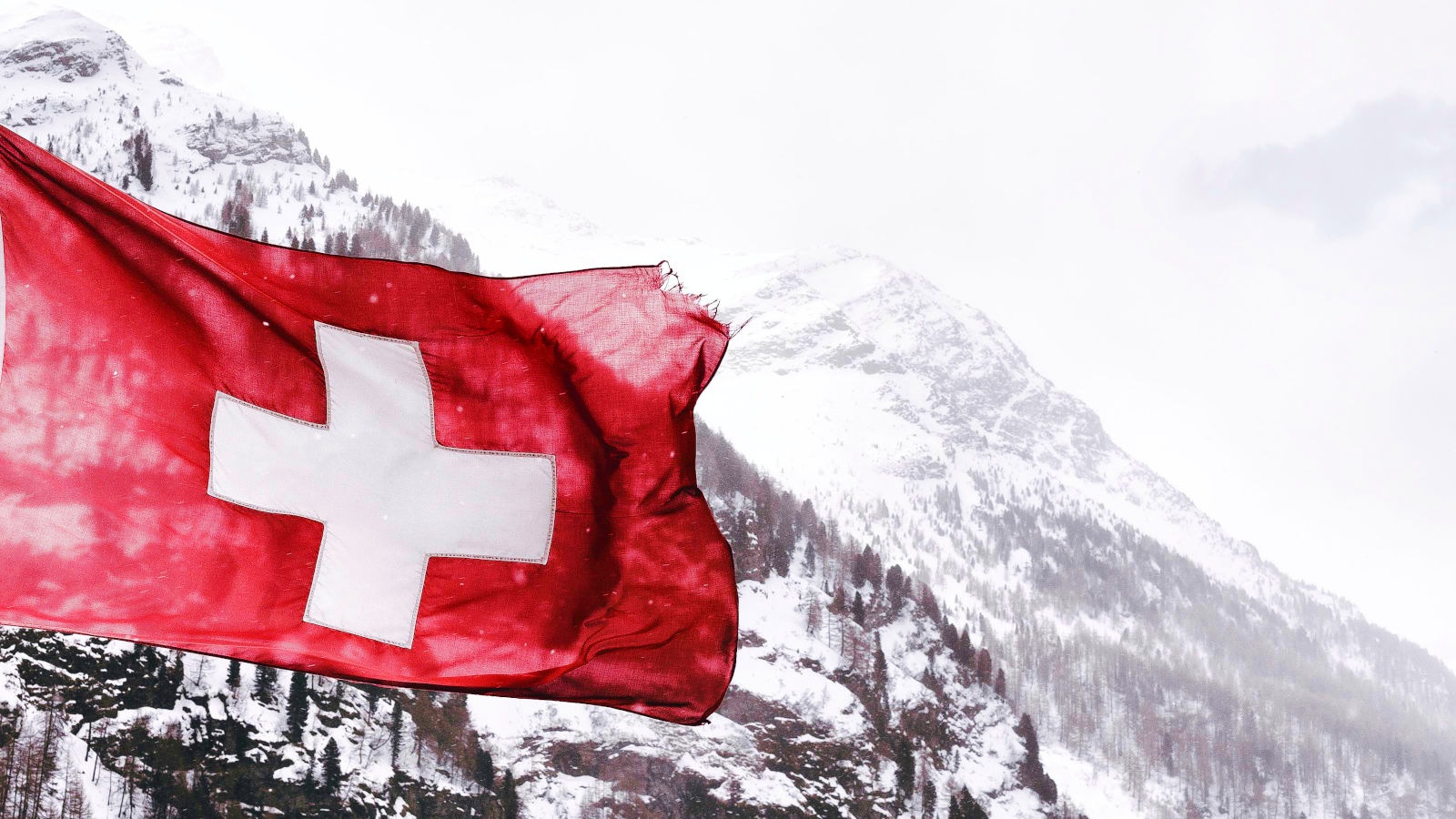 swiss-government-sharepoint-breach-compromised-200-accounts swiss-government-sharepoint-breach-compromised-200-accounts