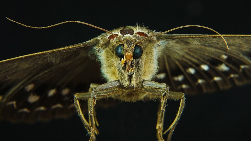 421-bugs-in-microsoft’s-patch-tuesday-release,-and-the-norks-have-already-attacked-one