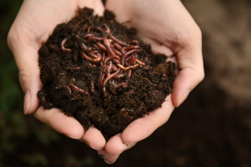 chaindrop-worm-crawls-into-npm-supply-chain,-evades-standard-defenses