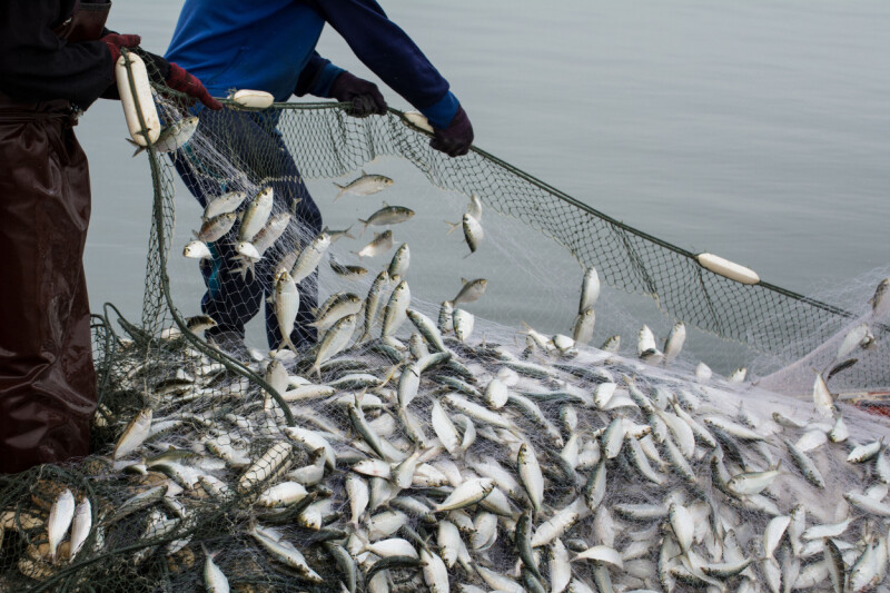 cybercrooks-trawl-fishbrain-to-net-password-hashes