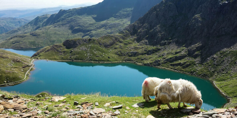welsh-environment-regulator’s-foi-blunder-exposes-diversity-data-of-2,000-staff welsh-environment-regulator’s-foi-blunder-exposes-diversity-data-of-2,000-staff